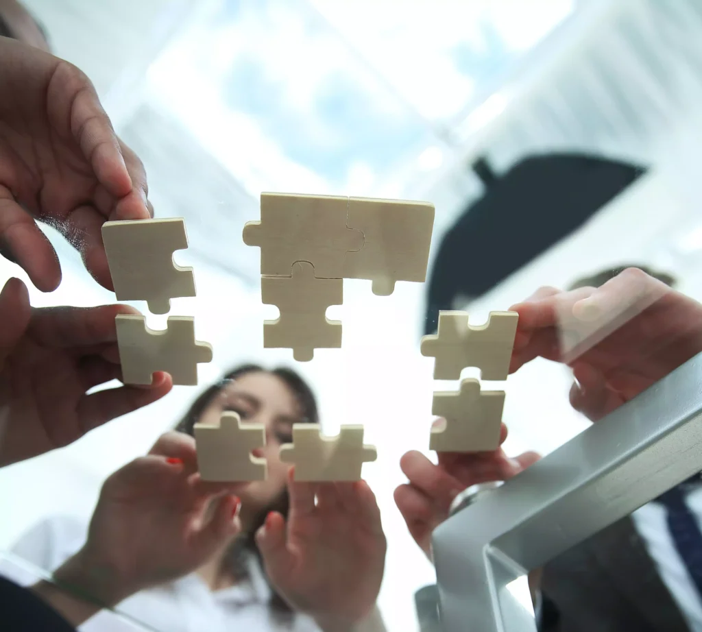 fusion de empresas